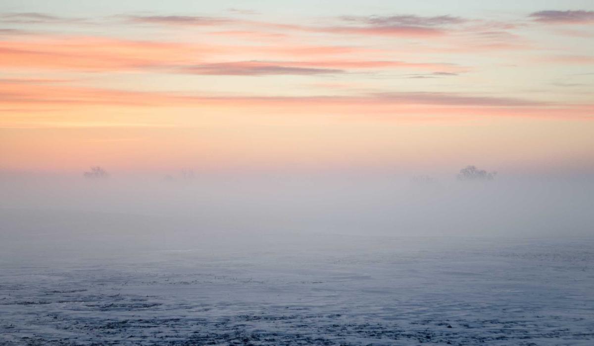 Beslenme Foto Galeri 4