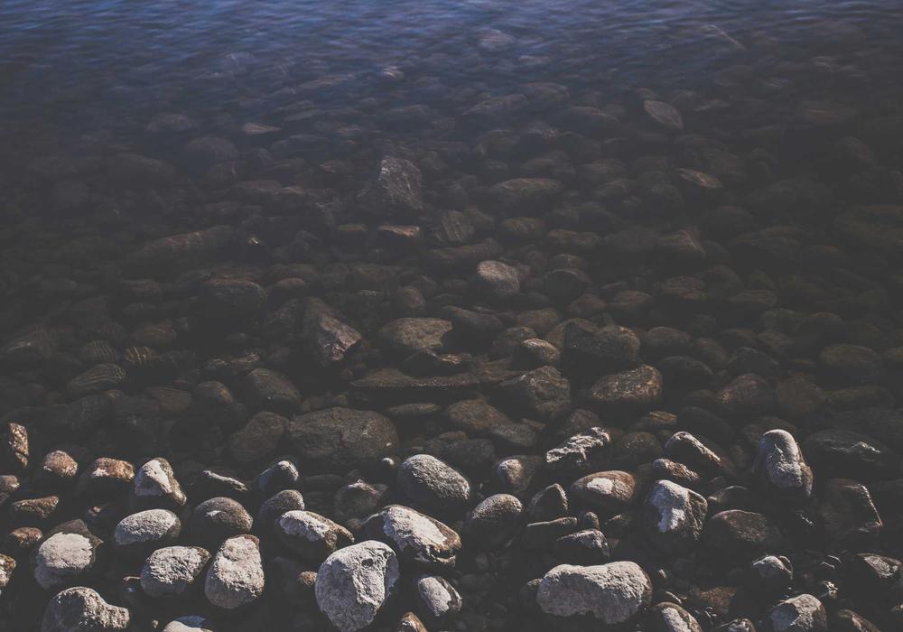 İnternet video galeri görsel 1 - video 3