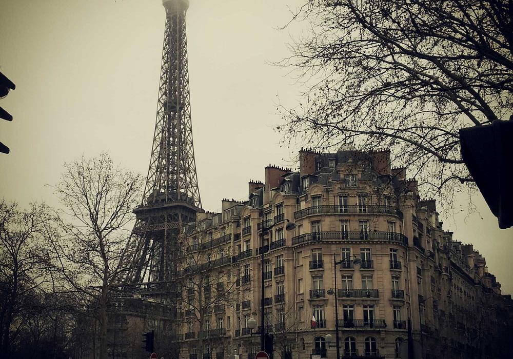 İnternet video galeri görsel 2 - video 3