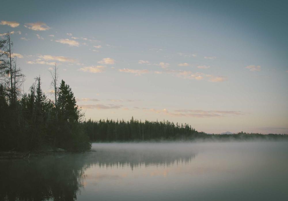 İnternet video galeri görsel 3 - video 6