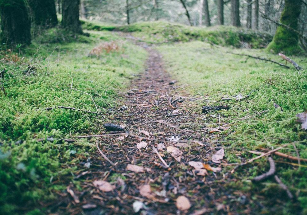 İnternet video galeri görsel 1 - video 7