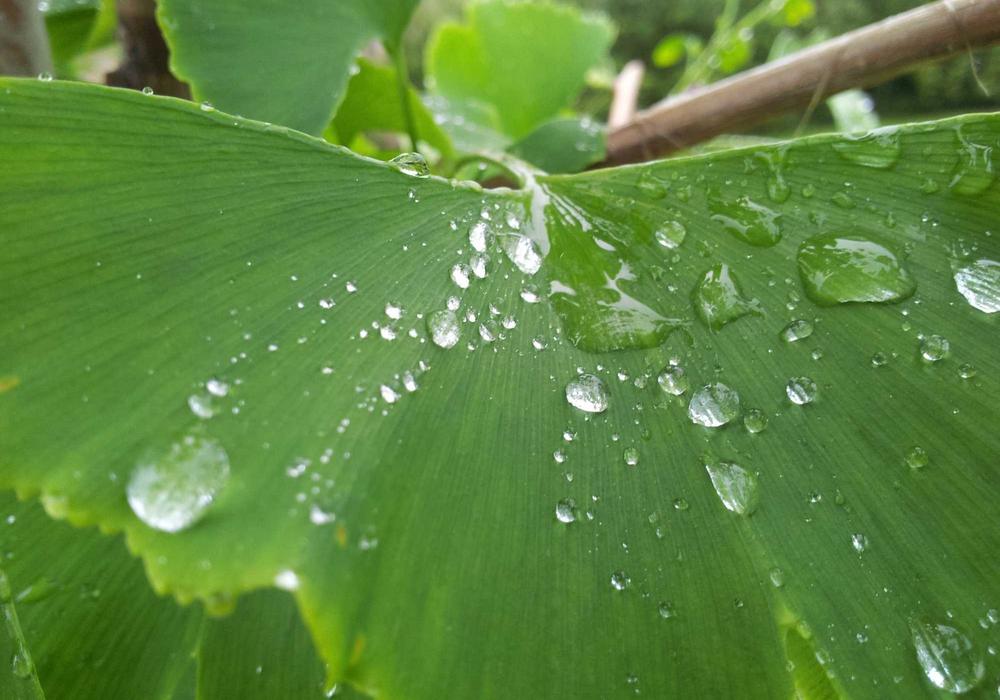 İnternet video galeri görsel 3 - video 9