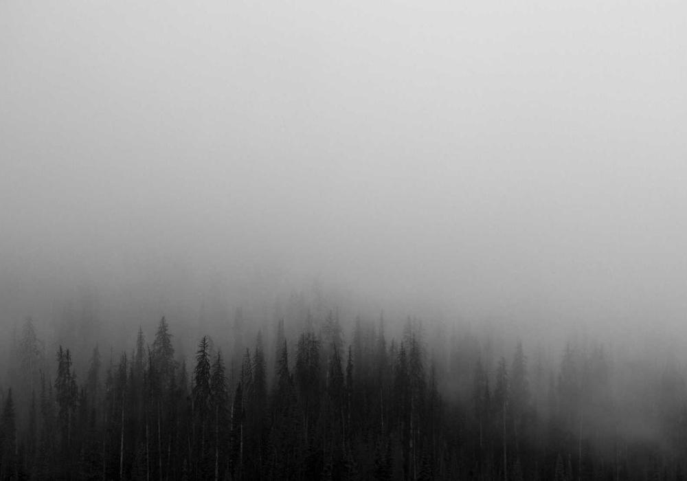 Okullar video galeri görsel 3 - video 10