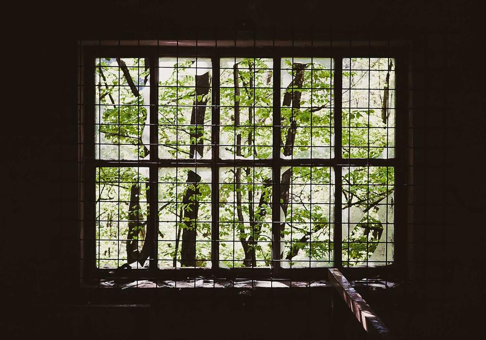 Seçim video galeri görsel 3 - video 1