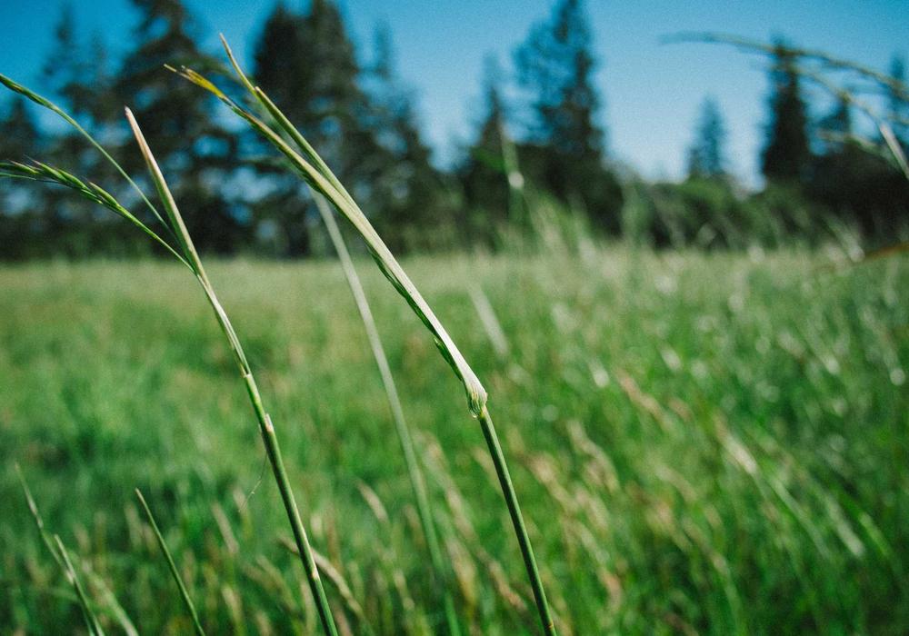 Seçim video galeri görsel 3 - video 10