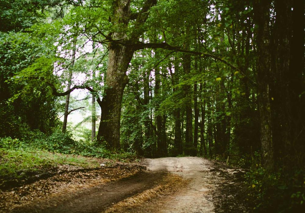 Seçim video galeri görsel 1 - video 4