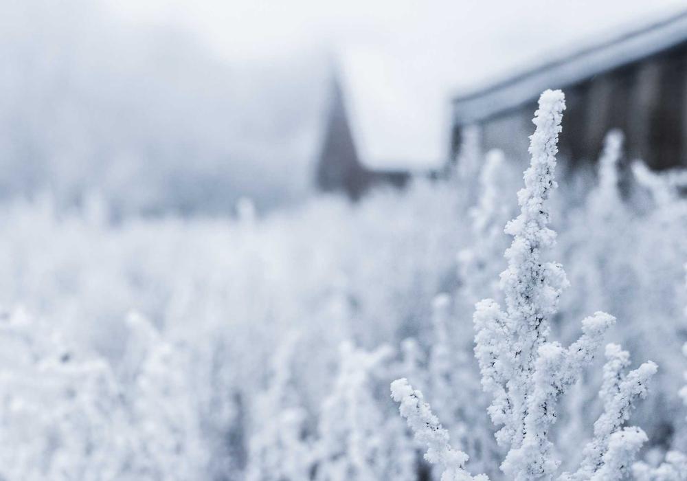 Seçim video galeri görsel 1 - video 6