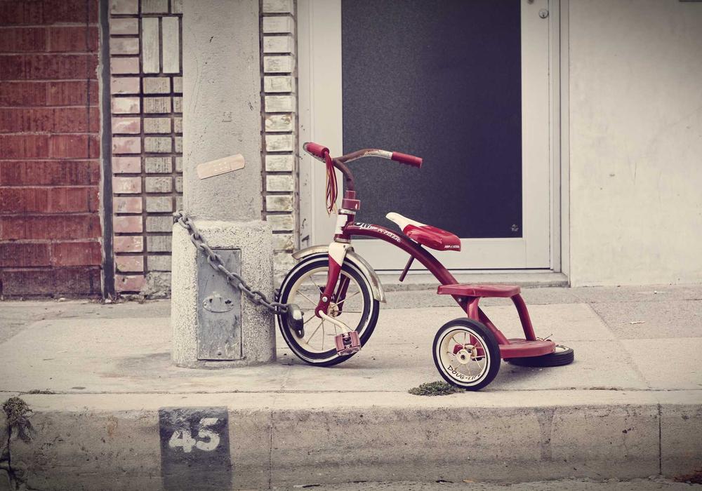 Seçim video galeri görsel 2 - video 7