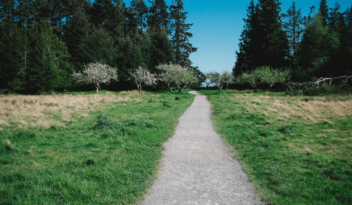 Mobil Video İçerik 3