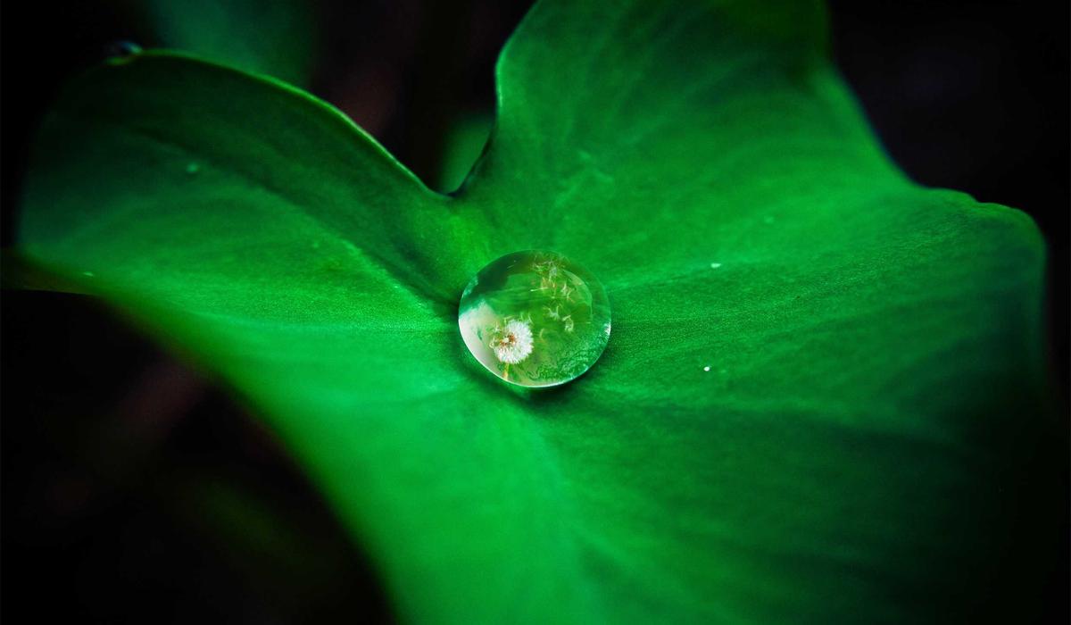 Partiler Video İçerik 3