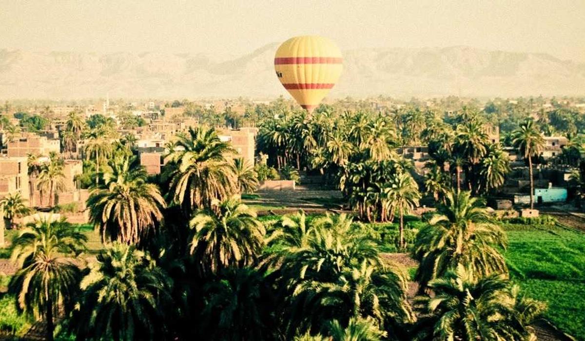 Seçim Video İçerik 10