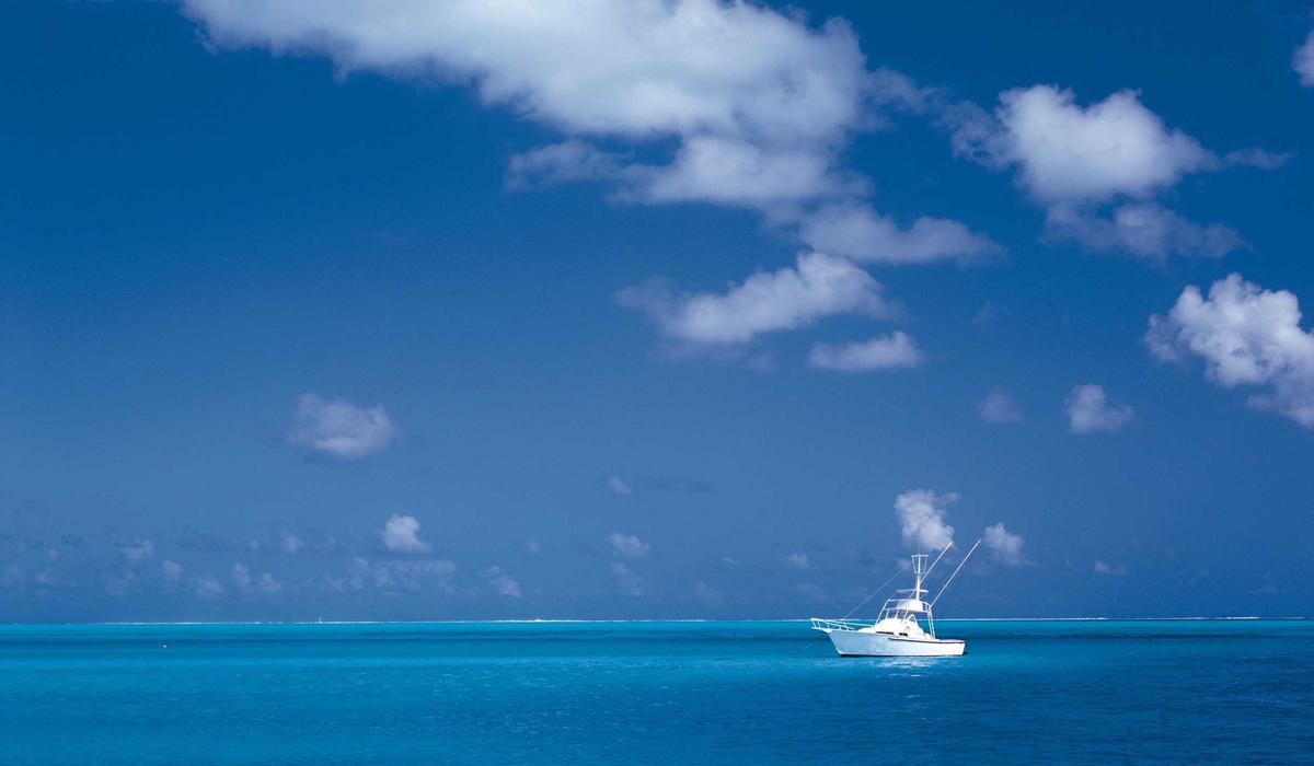 Seçim Video İçerik 4