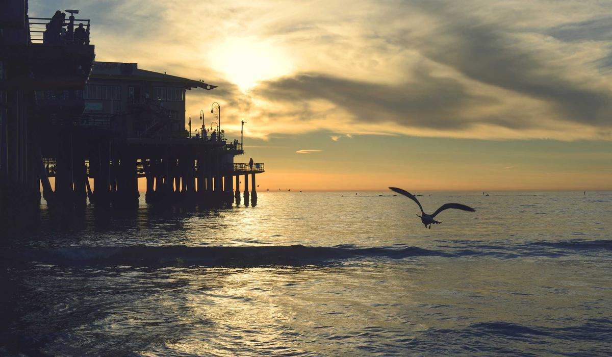 Seçim Video İçerik 8