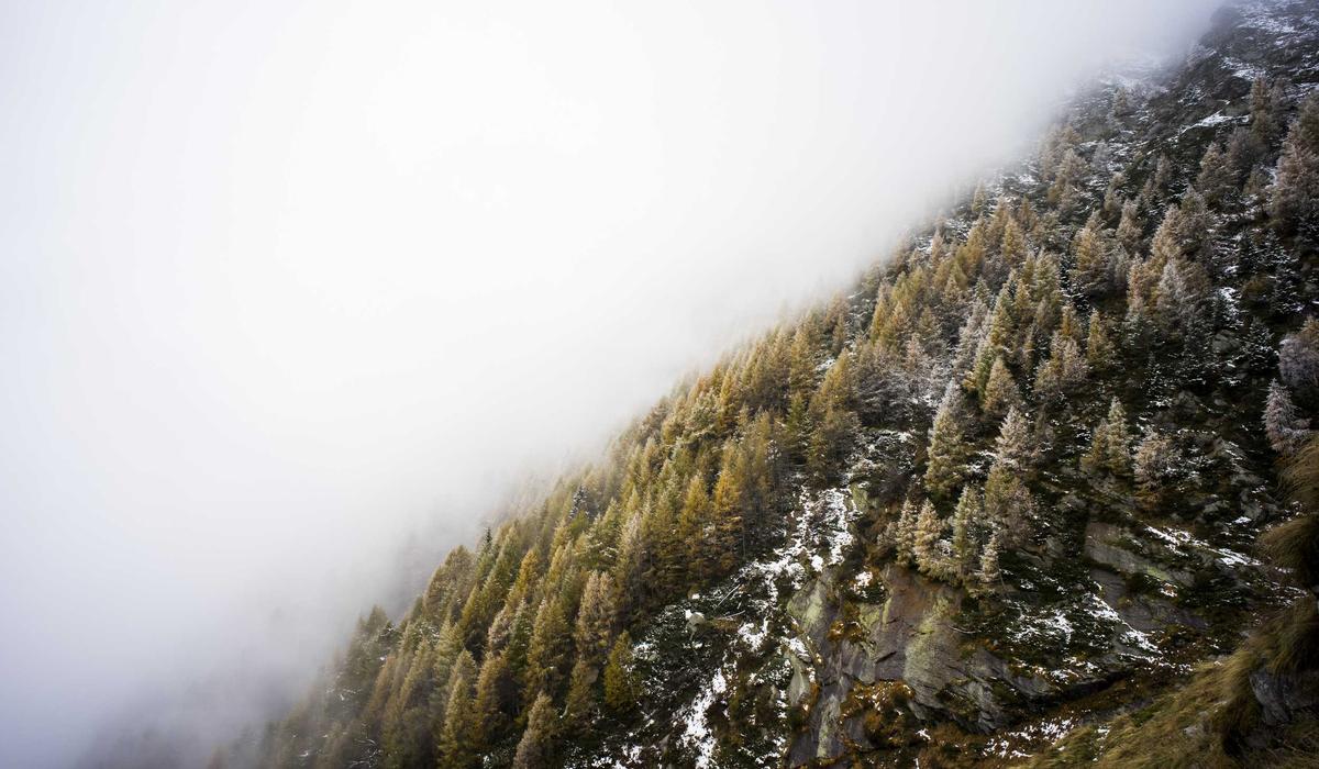 Sınavlar Video İçerik 5