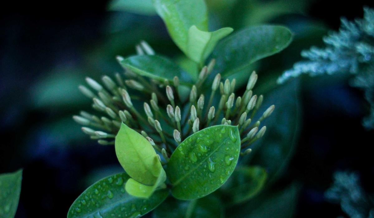 Türkiye Video İçerik 7